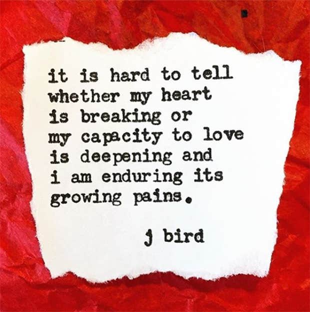 J.Bird Poet Instagram Quotes Love Heartbreak