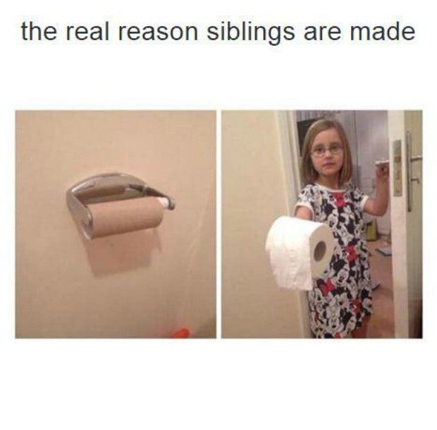 best funniest memes national siblings day
