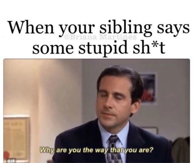 best funniest memes national siblings day