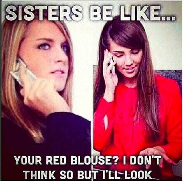 best funniest memes national siblings day