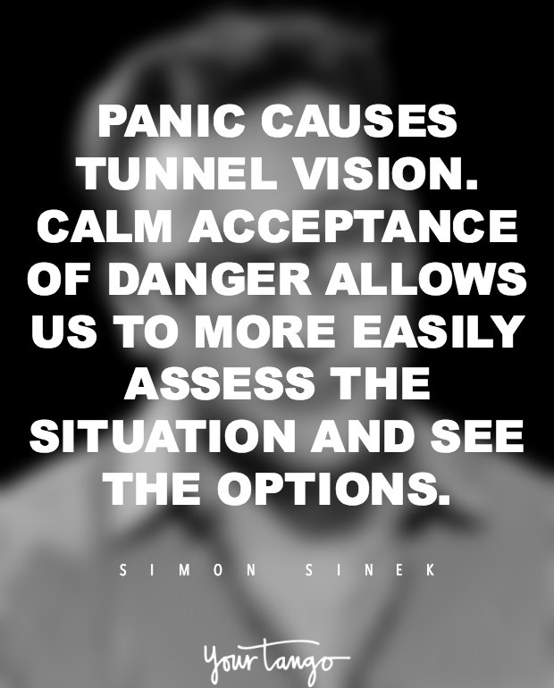 simon sinek quotes 