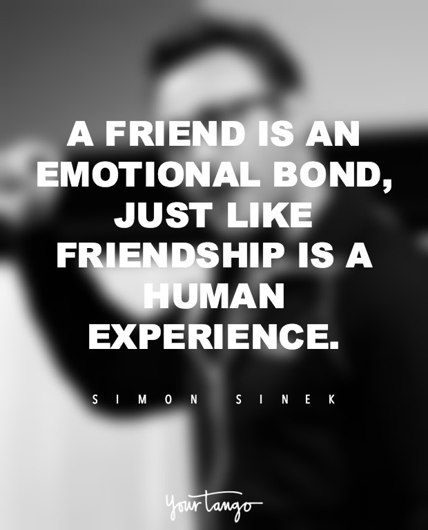 simon sinek quotes 