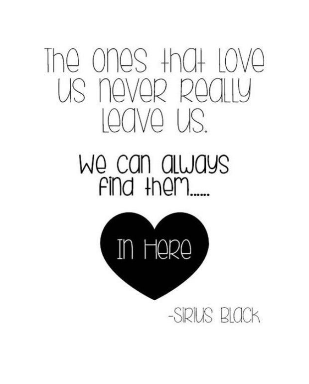 Sirius Black love quote Harry Potter quotes