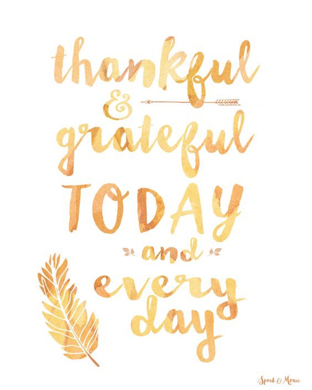 best gratitude quotes memes for thanksgiving