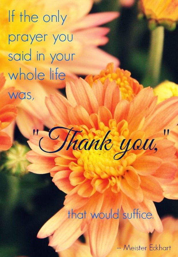 best gratitude quotes memes for thanksgiving