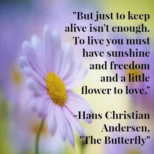 Hans Christian Andersen fairy tale inspirational quotes