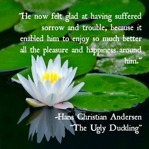 Hans Christian Andersen Ugly Duckling inspirational quotes