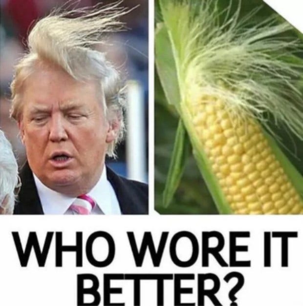 best Donald Trump hair meme