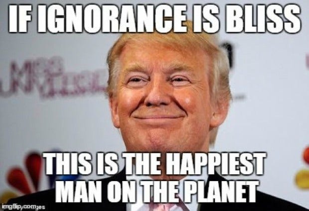 Best Funny Donald Trump memes