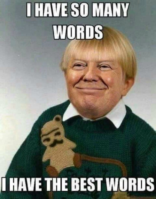 Funny Donald Trump meme : Best Words