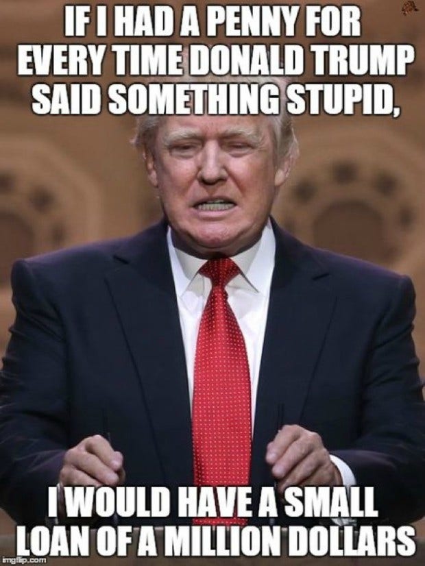 funny Donald Trump stupid meme