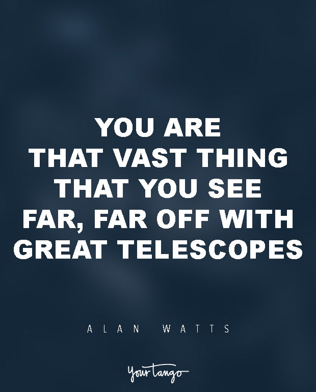 Alan Watts Quotes About Life