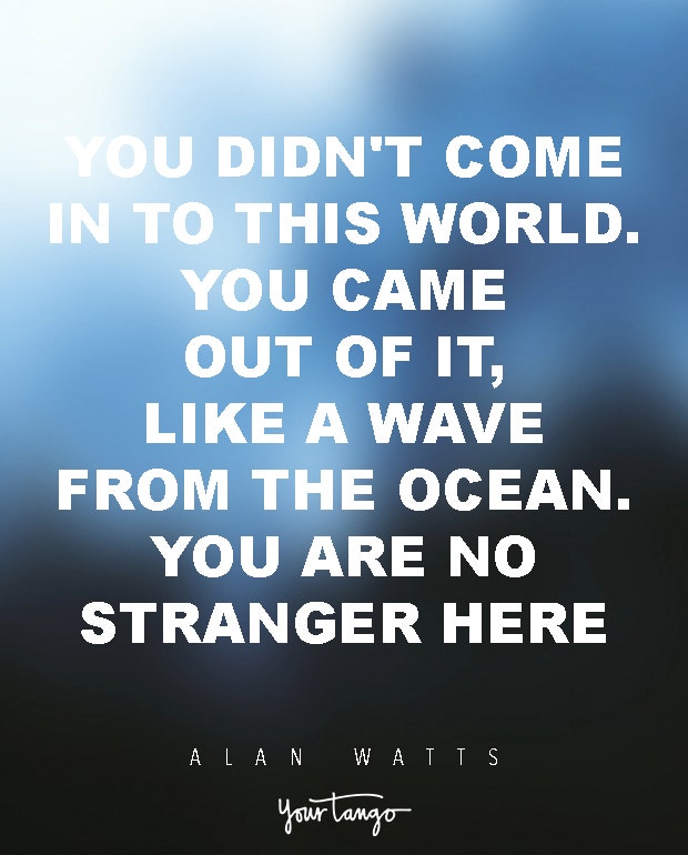 Alan Watts Quotes About Life