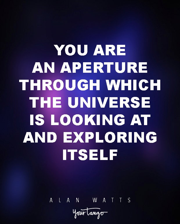 Alan Watts Quotes About Life