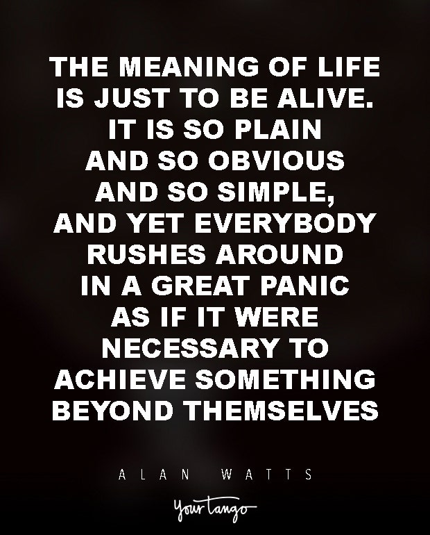 Alan Watts Quotes About Life