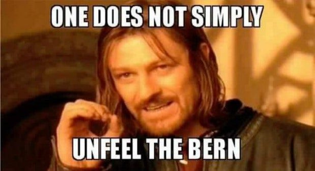 Bernie Sanders Meme Funny