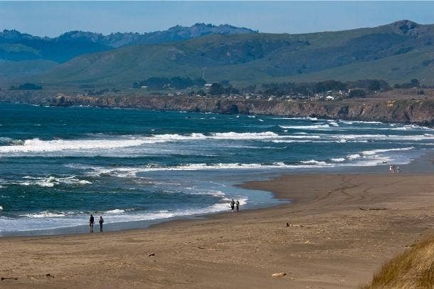 best beaches on the west coast salmon creek beach