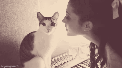 Animated GIFs - WPW Photography (BURNS)