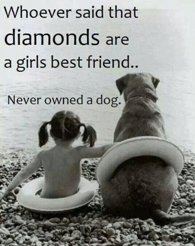 Dogs Are A Woman's Best Friend Quotes