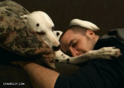 dog rubbing dad's head