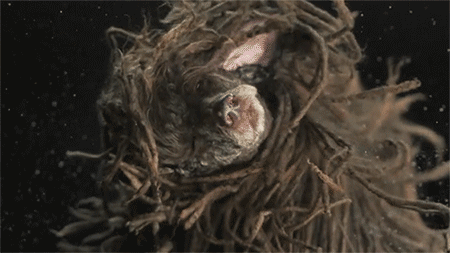 <b> You’ll learn the true meaning of the term "fur coat." </b> Most dogs shed, so you better get used to being covered in fur. Otherwise, invest in lint rollers and say goodbye to your favorite black clothes. Unless, of course, your lover has a black dog. In that case, we hope you’re not too attached to your white bedspread. You’ll learn the true meaning of the term "fur coat."