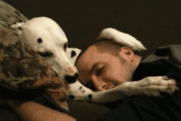 <b> Sleeping is all about spooning. </b> But you won’t be cuddling up close with your partner at night. It’ll be her 50-pound fur-child that prefers to sleep under the sheets and in between you. If you find this uncomfortable, you’ll be the one kicked to the couch. Sleeping is all about spooning