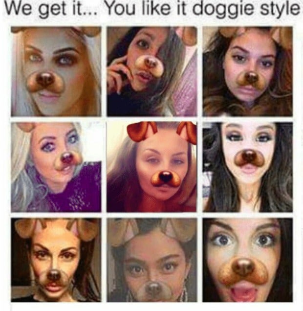 Hilarious Memes About Doggy Style