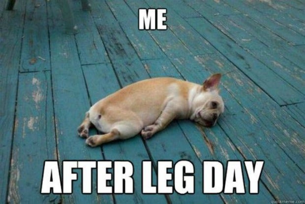 The 12 BEST Leg Day Memes That Anyone Who Works Out Can Relate To |  YourTango