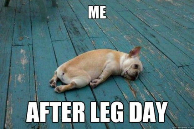 leg day memes