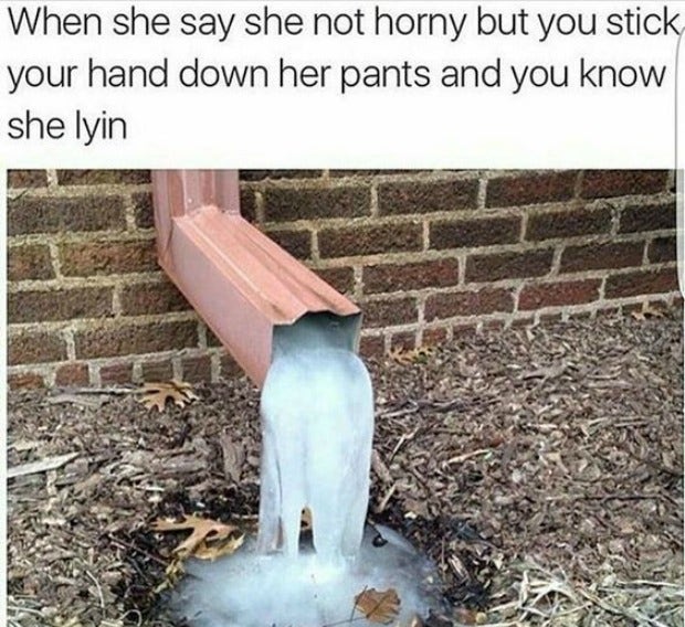 Memes that Prove Women Love Sex
