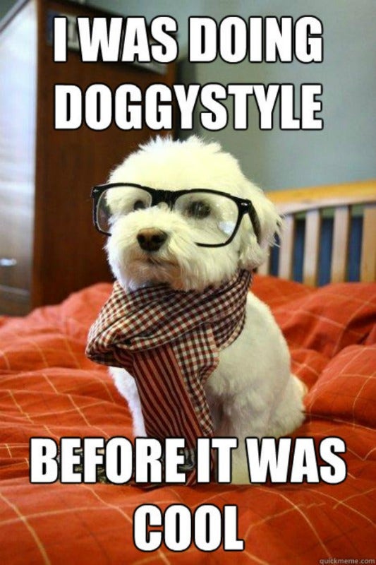 Hilarious Memes About Doggy Style