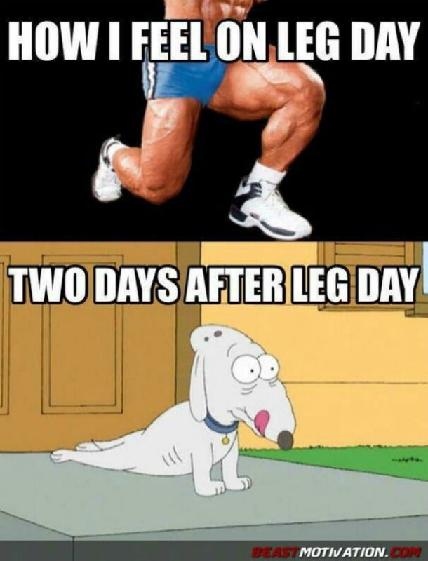 leg day memes