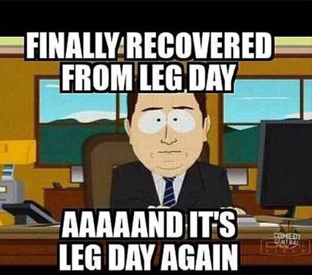 leg day memes