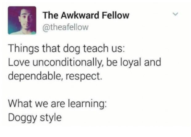 Hilarious Memes About Doggy Style