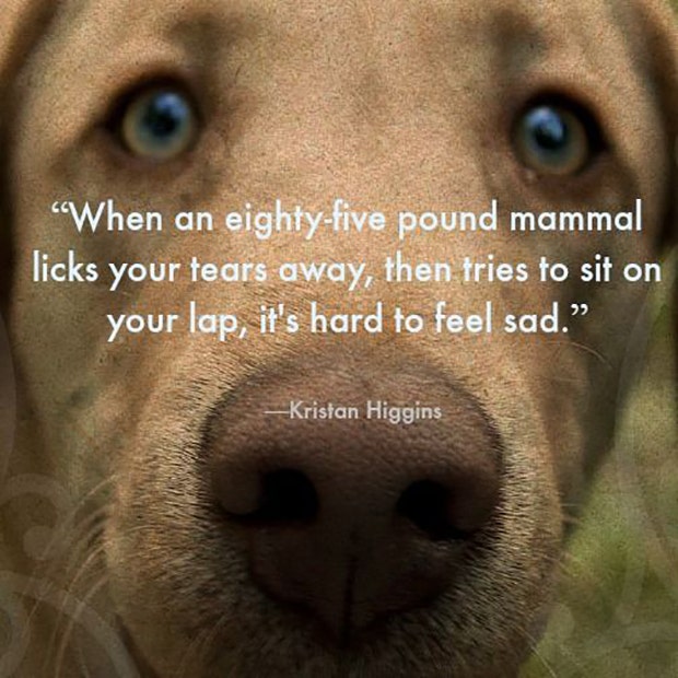 Dogs Are A Woman's Best Friend Quotes