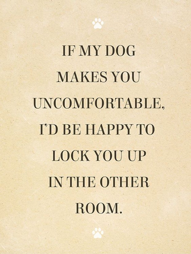 Dogs Are A Woman's Best Friend Quotes