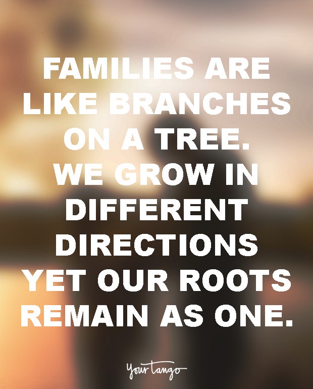 why family is important quotes