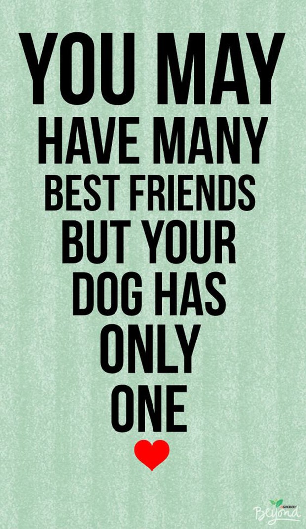 Dogs Are A Woman's Best Friend Quotes