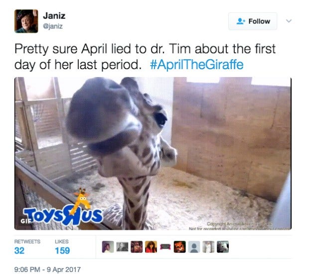 Memes About April The Giraffe That Will Make You LOL