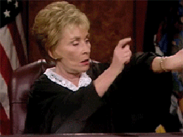 judge judy judith sheindlin