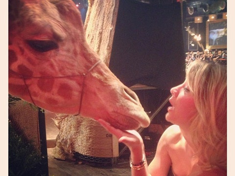 Kaley Cuoco-Sweeting Instagram