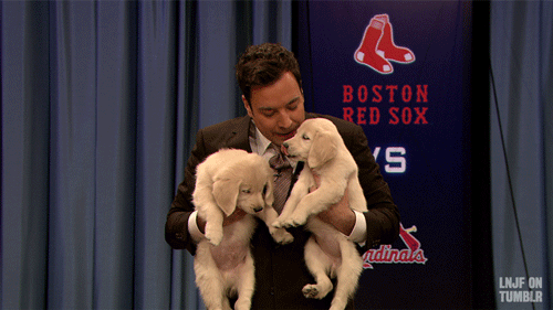 jimmy fallon with puppies