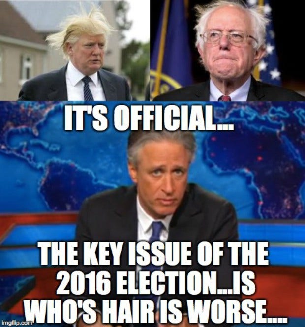 Funny Bernie Sanders Memes Hair