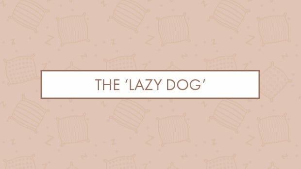 The 'lazy dog'