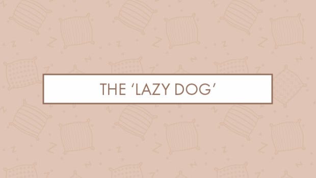 The 'lazy dog'