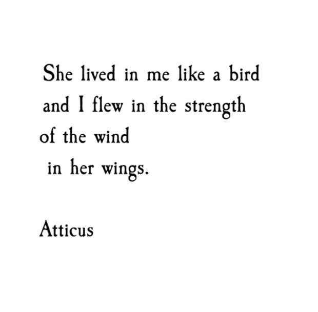 instagram poet atticus