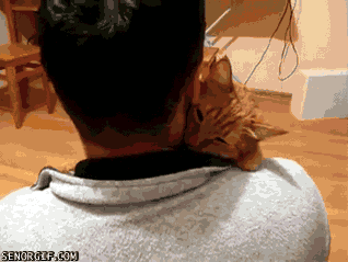 man and cat snuggling