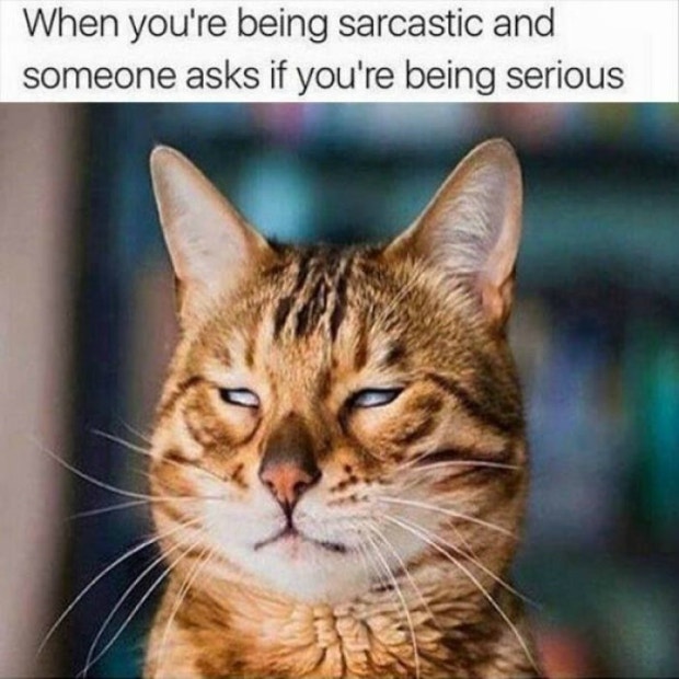 Aquarius sarcastic zodiac signs