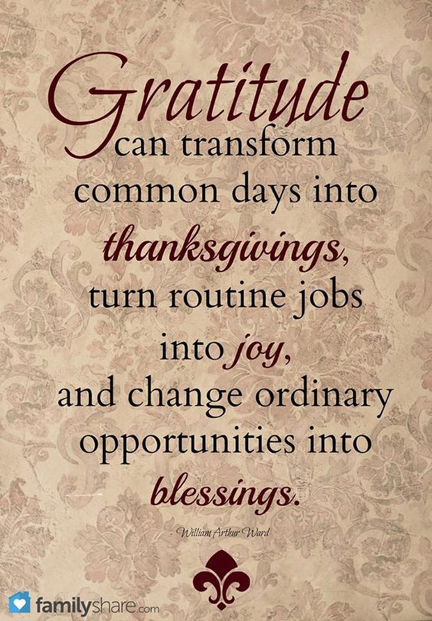 best gratitude quotes memes for thanksgiving