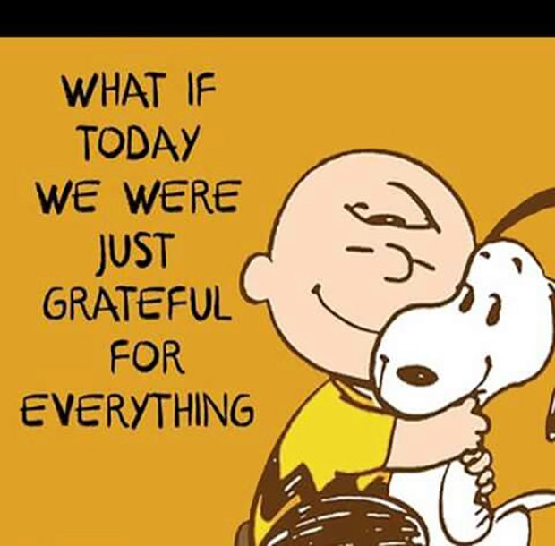 best gratitude quotes memes for thanksgiving